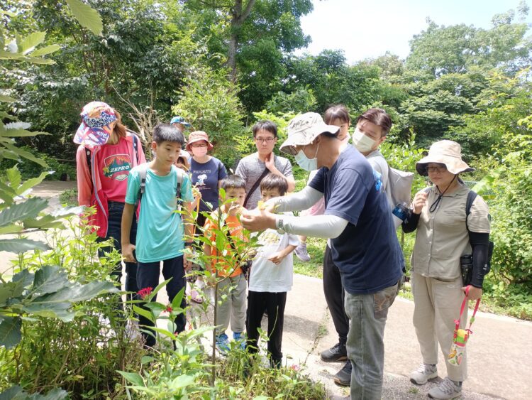 2025大坑蝶螢嘉年華締造跨國感動-日本博士生親證台灣紫斑蝶魅力