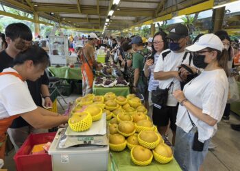 台中市優質葡萄、水蜜桃、高接梨於台北希望廣場展售-中市農業局力邀民眾選購優質農產品