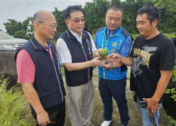連日豪雨農損嚴重-中市府呼籲農友拍照紀錄通報並依限申請救助金