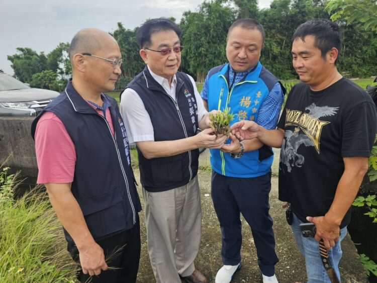 連日豪雨農損嚴重-中市府呼籲農友拍照紀錄通報並依限申請救助金