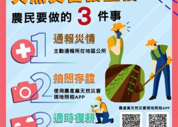 豪雨過後注意病害防治-中市府呼籲農友儘速復耕並依限申請救助