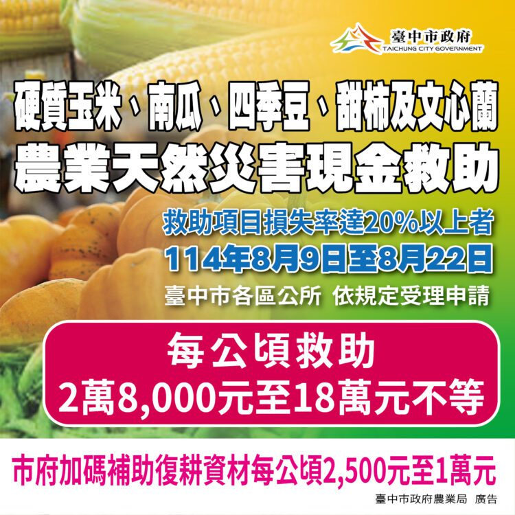 中市甜柿、硬質玉米、南瓜、文心蘭、四季豆災損　8/22前可申請現金救助