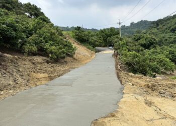 中市水利局搶修霧峰暗坑巷便道如期完工-可望減少逾450萬元龍眼損失