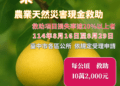 中市梨、和平區七卡段等35地段果樹類及塑膠布溫網室災損-8/29前可申請現金救助