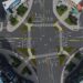 中市進化北路人行道優化並換植行道樹　建設局攜手護樹團體共創安全綠意街景