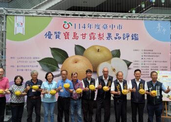 農友曾瑞東勇奪寶島甘露梨王！台中市寶島甘露梨果品評鑑結果揭曉