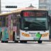 迎接開學！中市跳蛙公車9/1全面恢復服務