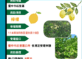 中市后里區檸檬災損-9/19前可申請現金救助