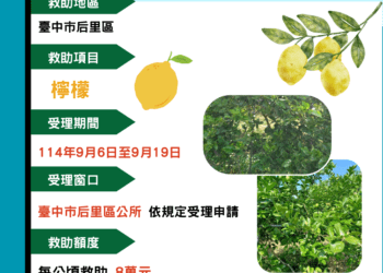 中市后里區檸檬災損-9/19前可申請現金救助