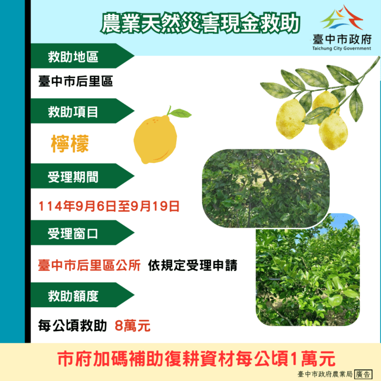 中市后里區檸檬災損-9/19前可申請現金救助