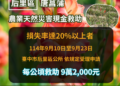 后里區唐菖蒲受災 9/23前可申請現金救助