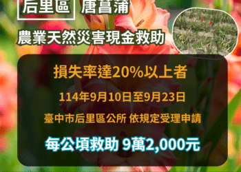 后里區唐菖蒲受災　9/23前可申請現金救助