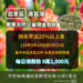 后里區唐菖蒲受災 9/23前可申請現金救助