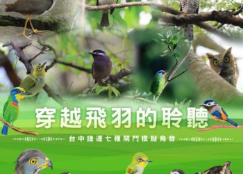 全球首創！-中捷閘門鳥鳴音躍上國際舞台