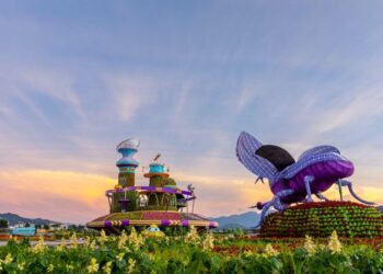 2024台中國際花毯節「太空花境」繁花綻放 萬眾矚目必看花海美景