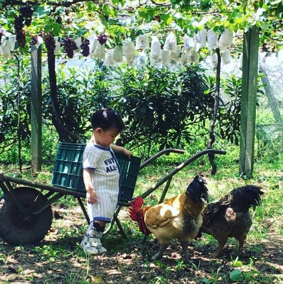 秋遊台中後花園-農業局「綠生活巡禮」10/9登場