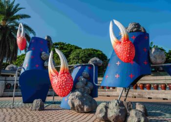 與招潮蟹共舞-傾聽濕地的聲音-「清水走走藝術季」邀您跟著潮汐去旅行！