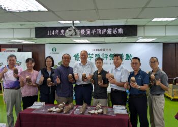 台中芋頭享譽全國-芋頭評鑑大甲區王忠信勇奪冠軍頭銜！