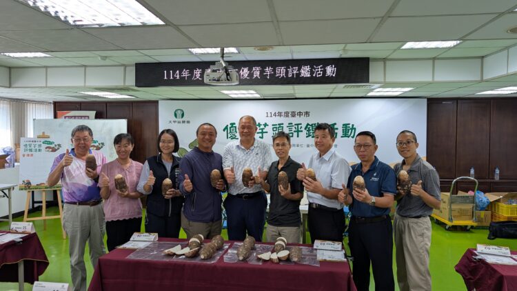 台中芋頭享譽全國-芋頭評鑑大甲區王忠信勇奪冠軍頭銜！