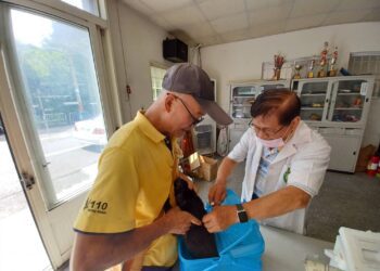 中市11-12月巡迴注射活動開跑！動保處免費為毛小孩注射狂犬病疫苗