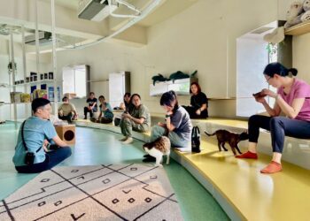 找回助人初衷與療癒力量！「社工自我覺察療癒工作坊」動物之家開課