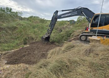 因應非洲豬瘟-台中市啟動廚餘堆肥肥料化-穩定去化無虞