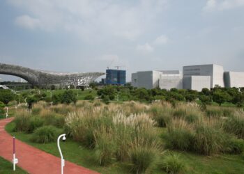 中央公園五節芒草花季登場　邀市民秋日賞花野餐享悠閒時光