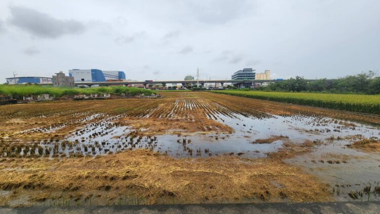 中市推稻草再利用計畫-12/5前受理今年2期作補助