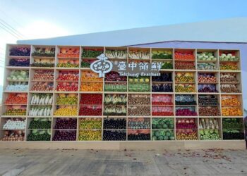 「2025中台灣農業行銷展售會」兩大亮點打卡必拍-4米高巨型蔬果牆-×-禮物盒裝置藝術-展現農業美學新風貌