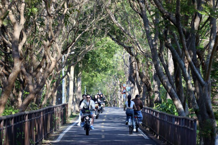 市府改善「東豐自行車綠廊」彎道安全-打造更舒適的騎乘環境