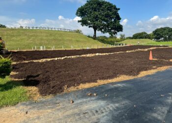 資源再利用!東勢綠資材中心提供市民免費破碎木料