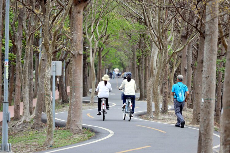 潭雅神綠園道「光環境與節點優化工程」開工！-打造友善多元的休憩場域