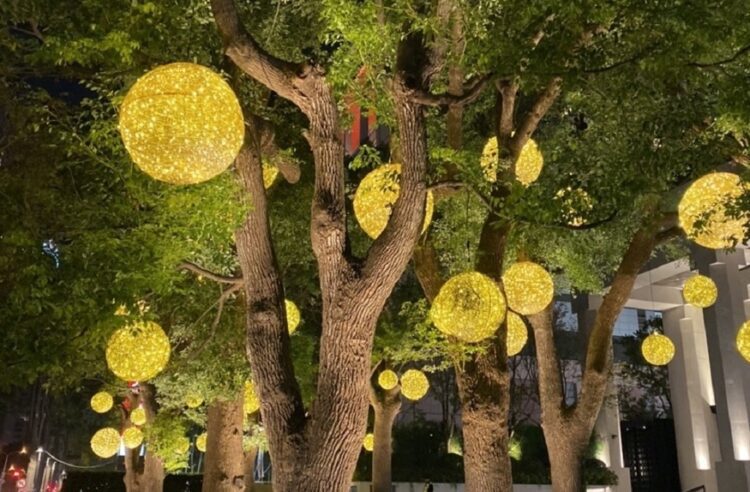一起點亮台中！中市行道樹12/1起免費懸掛燈飾-打造最美節慶城市！
