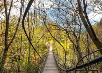 中市府觀旅局輔導原民地區取得民宿登記證-提供高山旅遊多樣選擇
