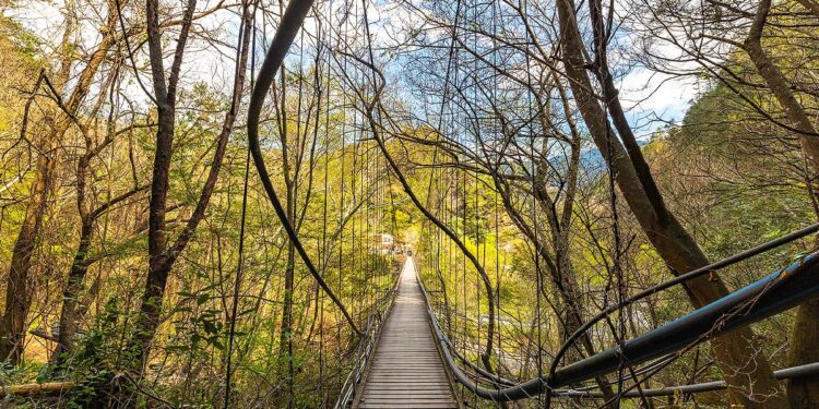 中市府觀旅局輔導原民地區取得民宿登記證-提供高山旅遊多樣選擇