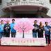 員林市湖水舉辦「櫻木花道 詩光茶宴」 補植近百棵櫻花重現櫻花大道榮景