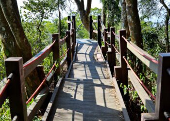 中市全力推動登山步道災害復建工程-部分步道實施封閉措施