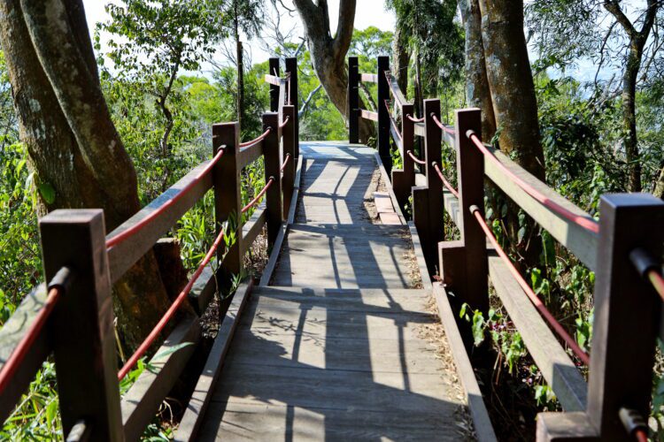 中市全力推動登山步道災害復建工程-部分步道實施封閉措施