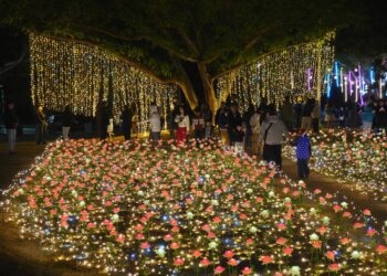 最浪漫光影盛宴!沙鹿嘉年華開幕首日湧入2萬人次-民政局長:漫遊海線幸福加倍