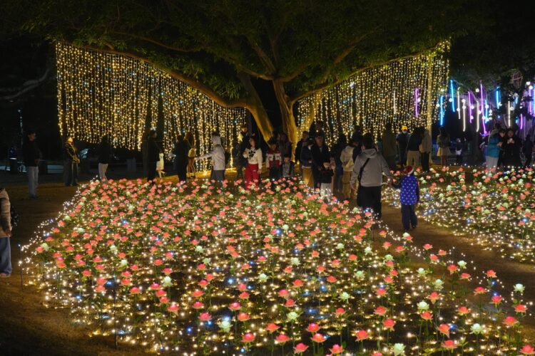 最浪漫光影盛宴!沙鹿嘉年華開幕首日湧入2萬人次-民政局長:漫遊海線幸福加倍