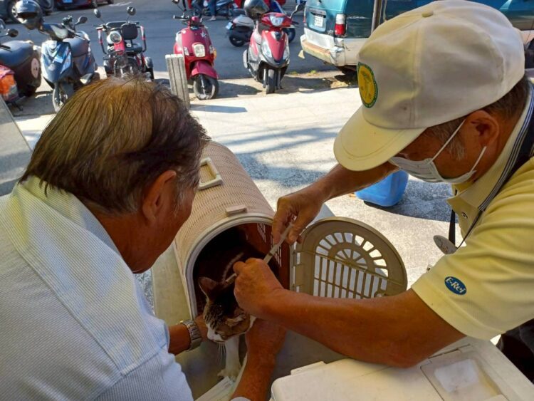 新年新氣象!中市巡迴注射開跑 邀市民帶毛孩一起守護健康