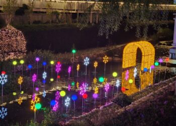 迎耶誕、跨年與元宵！水利局點亮四大燈區　藍白冰河、飄雪效果打造最浪漫台中冬季