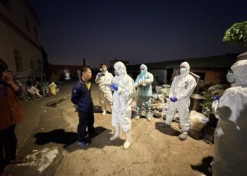 守護養豬產業安全！中市府查獲龍井區違規廚餘養豬-後續將處最高400萬罰鍰