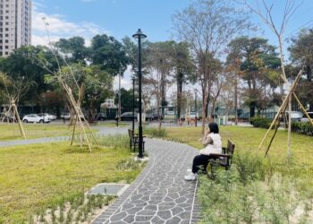 東區再添新綠亮點！十甲公園完工啟用　打造宜居共融的友善城市空間