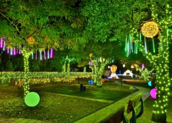 山城冬季賞燈首選！2025石岡花漾藝術燈節12/24點燈　民政局長：打造夢幻光影小鎮