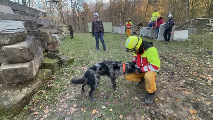 台中消防搜救犬隊赴德國聯邦救難犬協會交流訓練-引進歐洲先進技術強化災害搜救量能