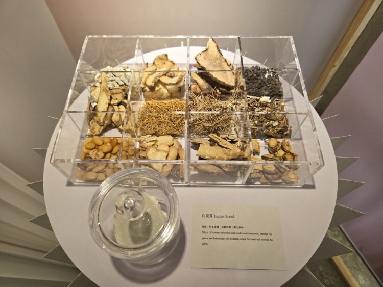 另類「美」展！中市立夫中醫藥博物館特展-發掘中醫藥美顏智慧