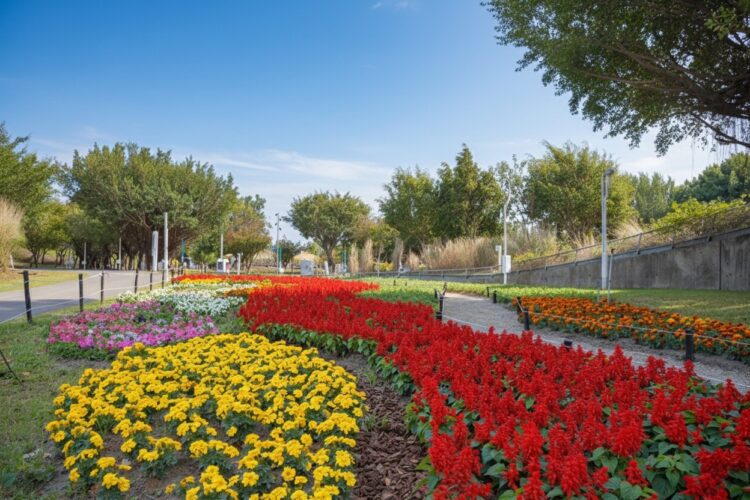 2026新年走春好去處！-台中道路、公園繽紛蒔花妝點城市景觀