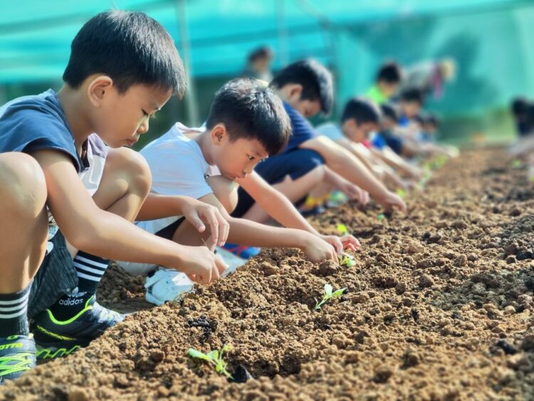 中市瑞井國小深耕永續教育有成　榮獲114年度教育類國家永續發展獎