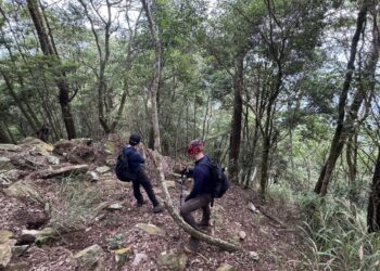 7成5山域事故救援來自中級山！-中市消防局宣導「登山安全3原則」
